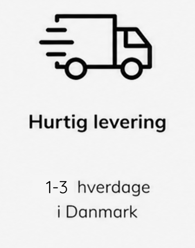 Trust Section truck silver